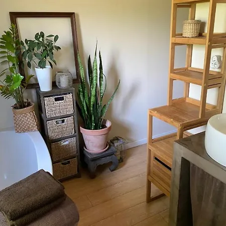 Ma Maison Sur Le Bassin Vakantiehuis *