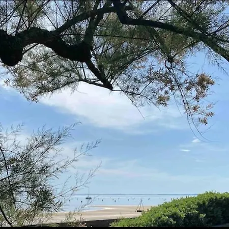 Ma Maison Sur Le Bassin * Andernos-les-Bains